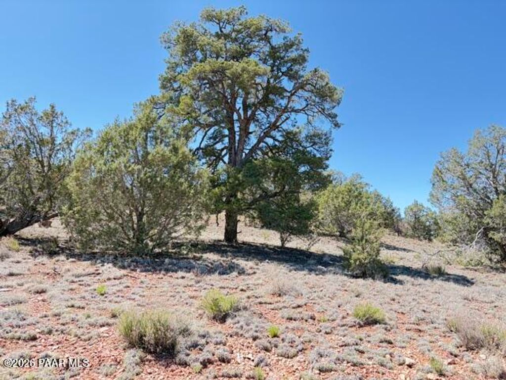 Photo of 64550 N Flaming Star Drive, Seligman, AZ 86434 (MLS # 1081980)
