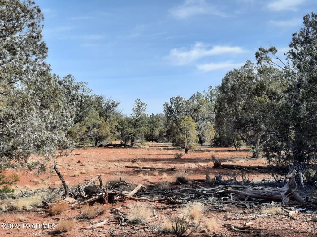 Photo of 55163 N Campana Circle, Seligman, AZ 86337 (MLS # 1078498)