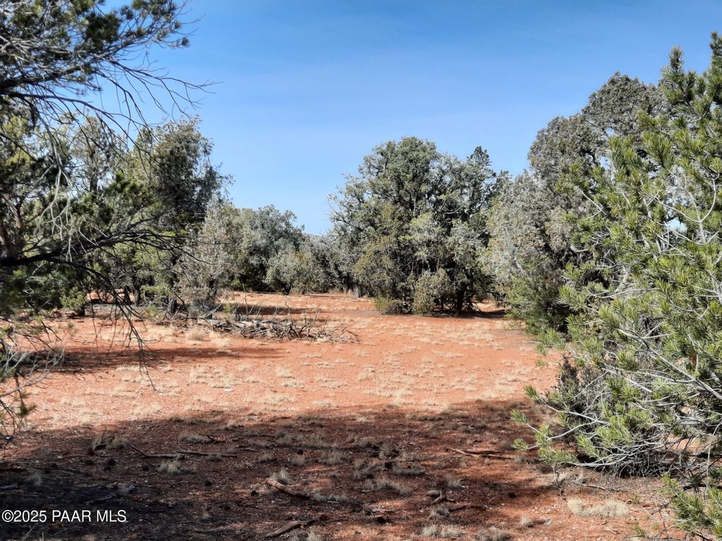 Photo of 55163 N Campana Circle, Seligman, AZ 86337 (MLS # 1078498)