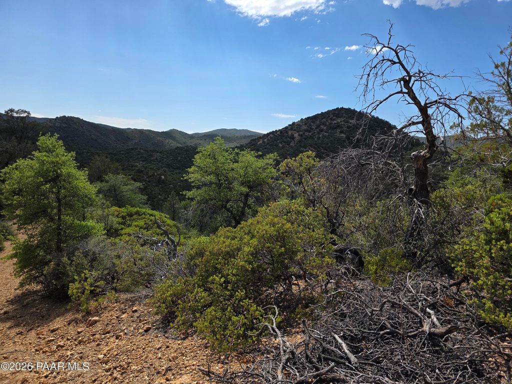 Photo of 3045 W Forest Service Rd 73, Prescott, AZ 86303 (MLS # 1082159)