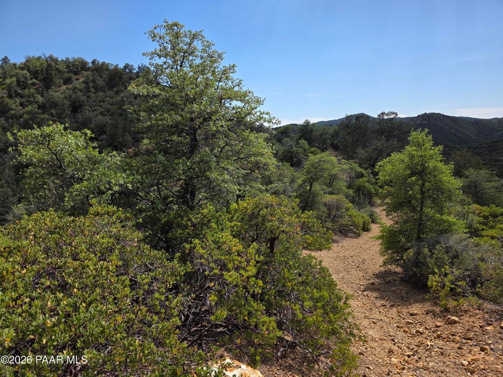 Photo of 3045 W Forest Service Rd 73, Prescott, AZ 86303 (MLS # 1082159)