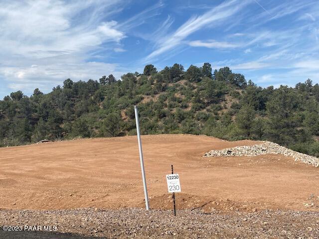 12230 N Thrine (Lot 230)