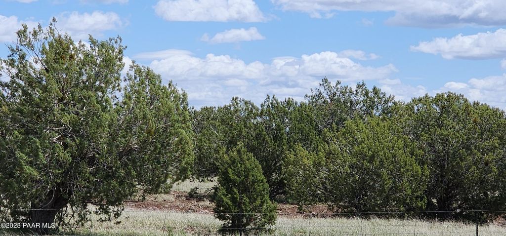 Photo of 12 Juniperwood Ranch, Ash Fork, AZ 86320 (MLS # 1080621)