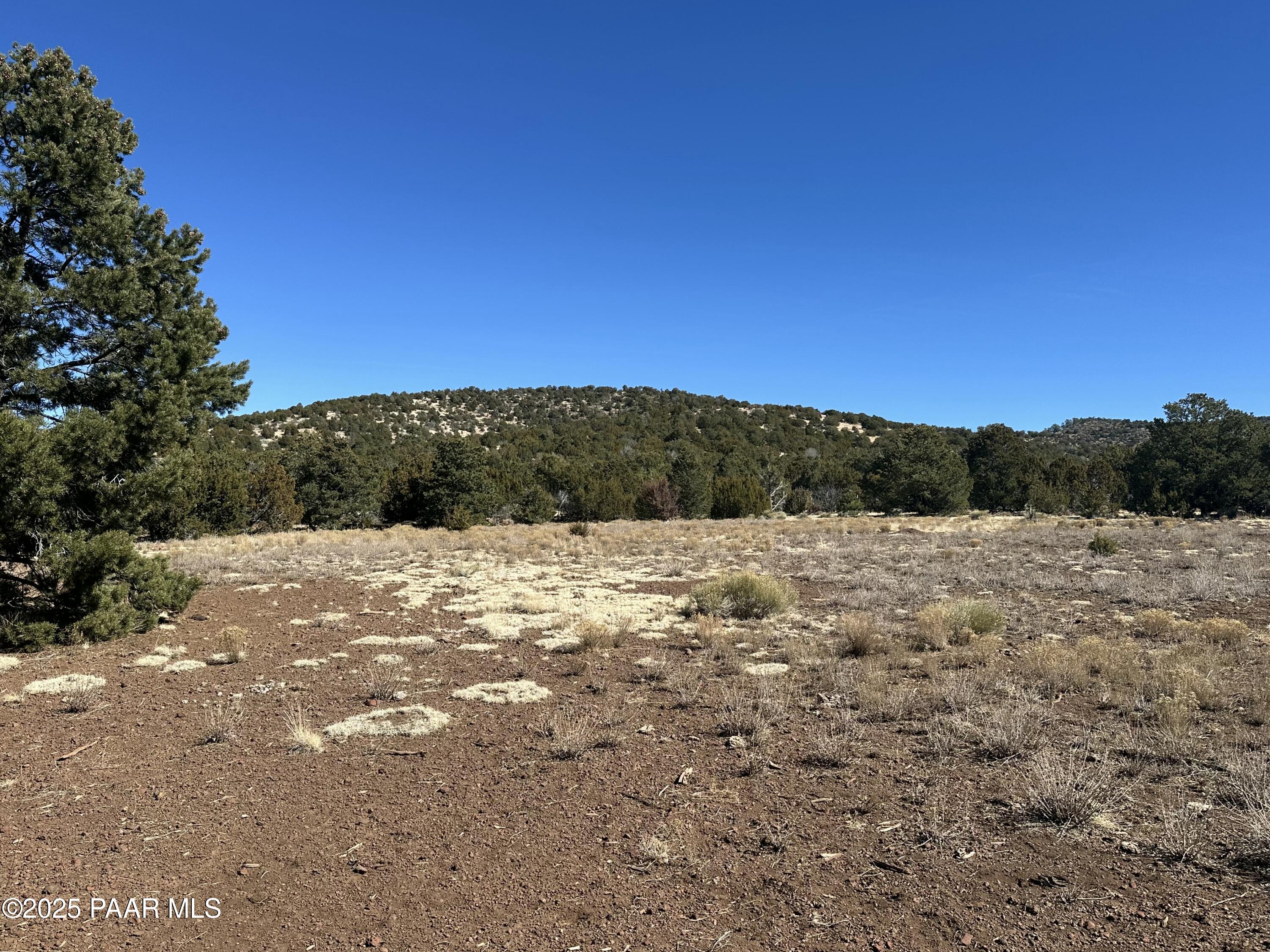 10379 N Overlook Drive