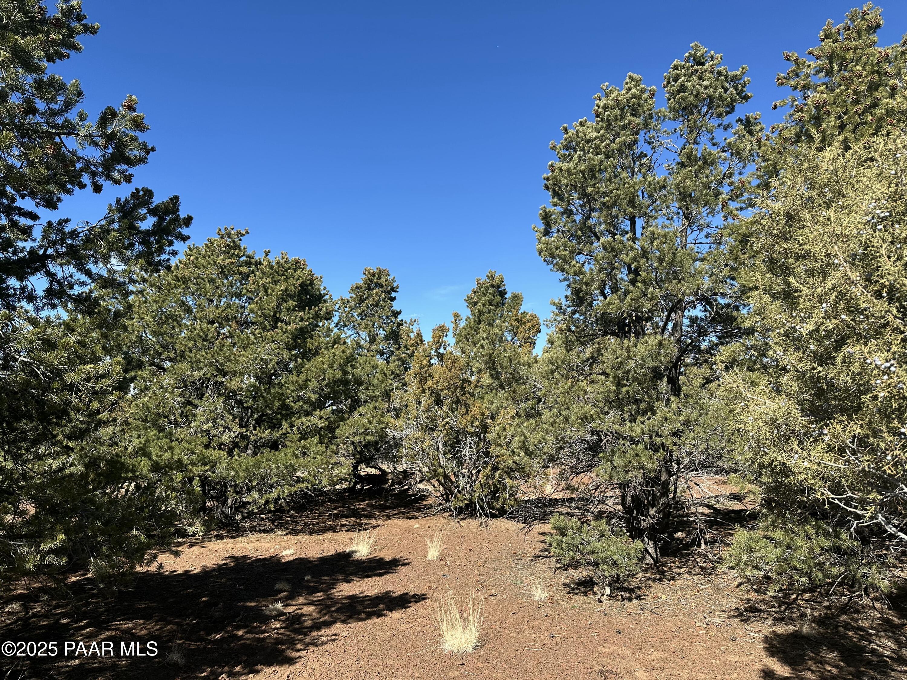 10379 N Overlook Drive