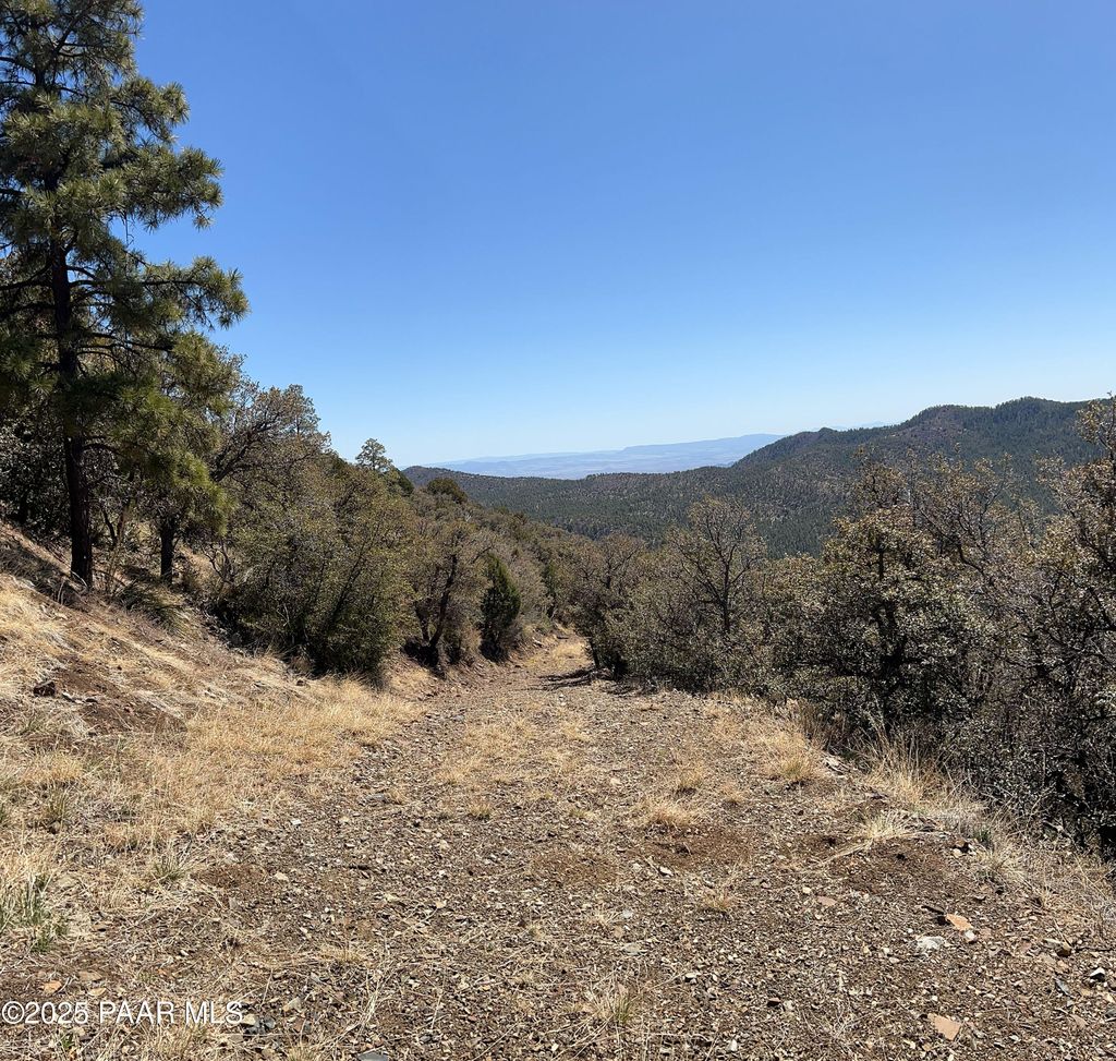 Photo of 33 E Bald Mountain Road, Prescott, AZ 86303 (MLS # 1080924)