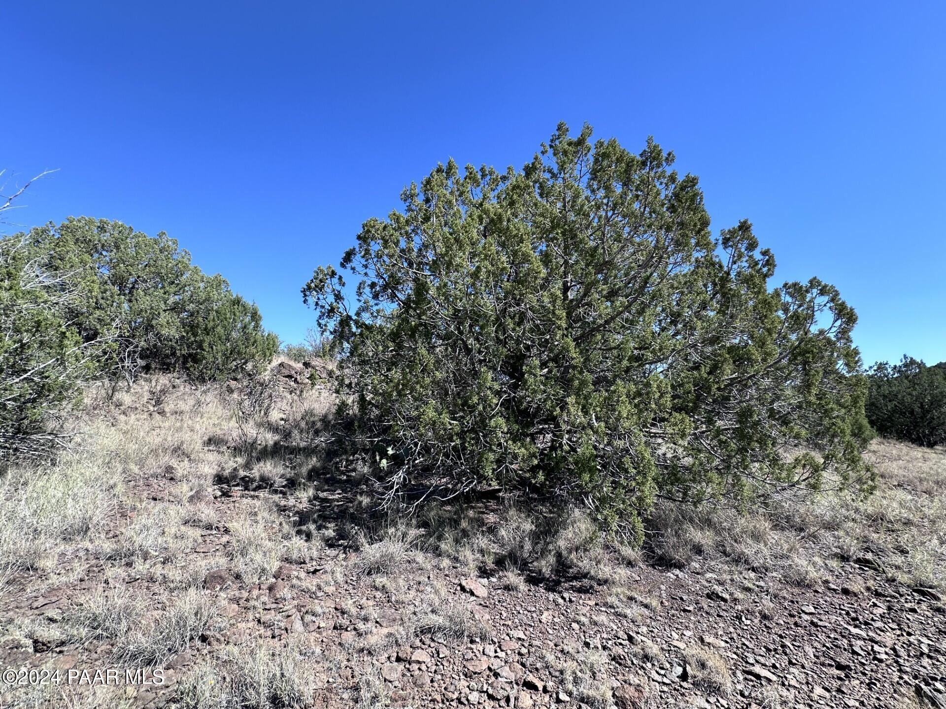814 Sierra Verde Ranch