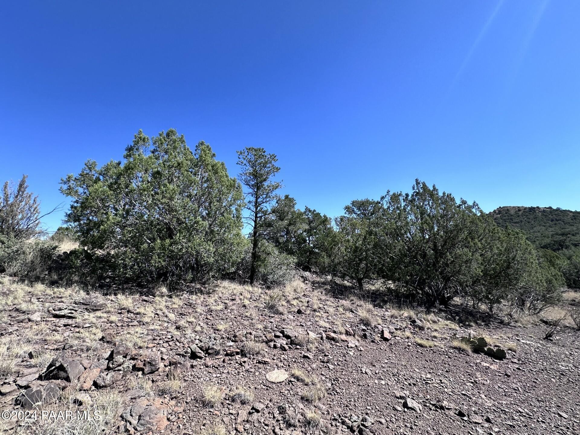 814 Sierra Verde Ranch