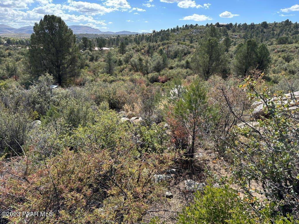 17926 S Pinon Lane