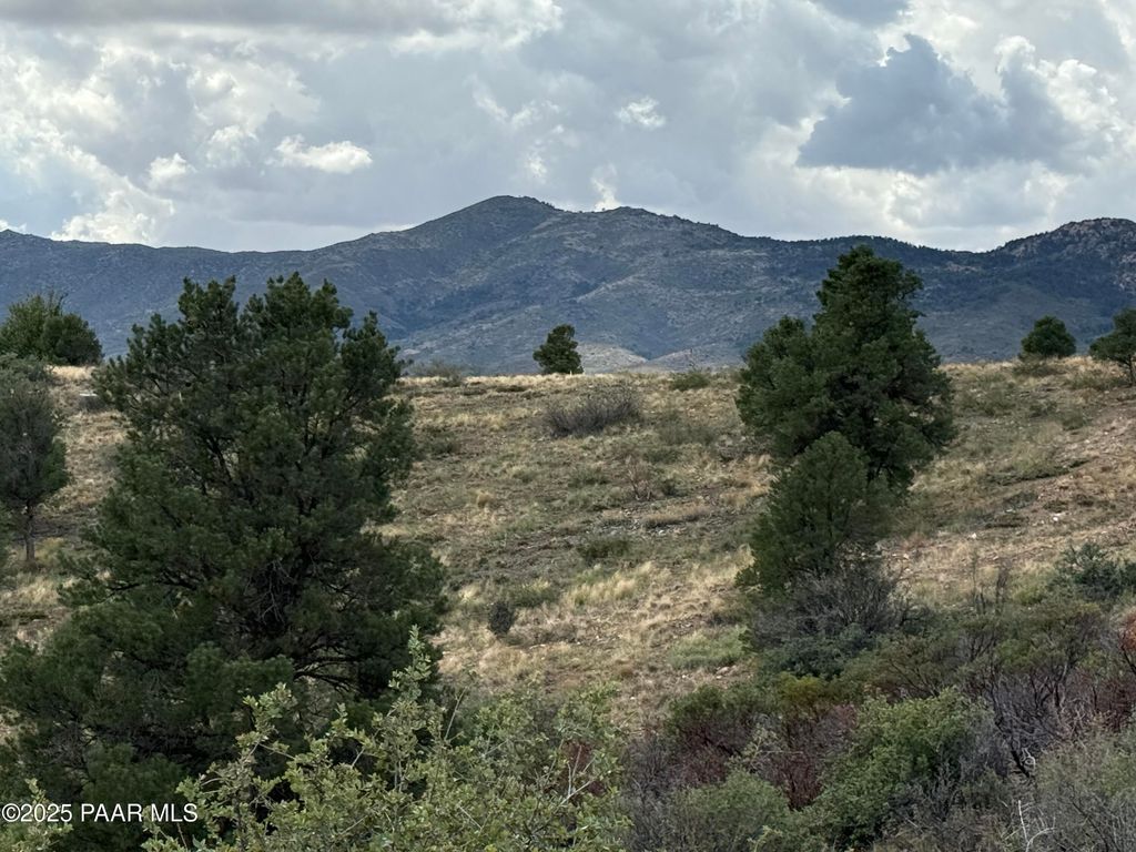 Photo of 17850 S Tawny Lane, Peeples Valley, AZ 86332 (MLS # 1076692)