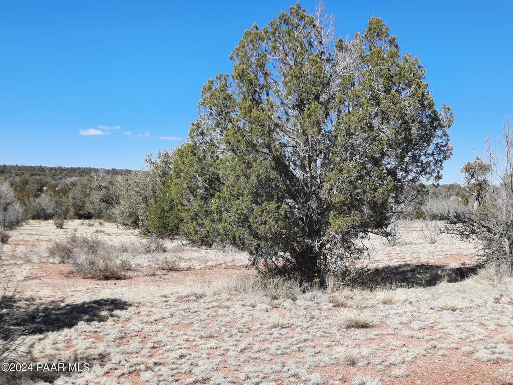 Photo of 31322 W Sunset Drive, Seligman, AZ 86337 (MLS # 1085750)