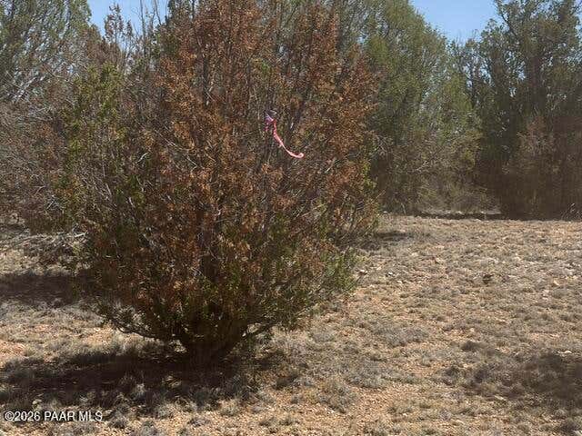 Photo of 56385 N Bridge Canyon Parkway, Seligman, AZ 86337 (MLS # 1083646)