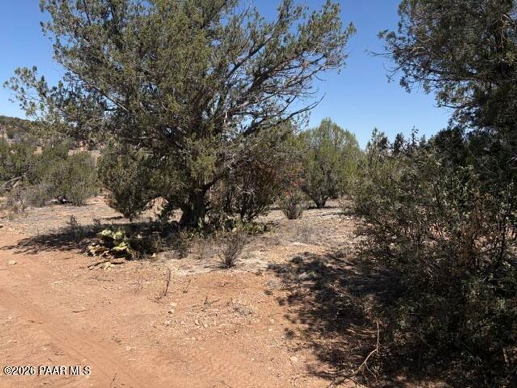Photo of 56385 N Bridge Canyon Parkway, Seligman, AZ 86337 (MLS # 1083646)