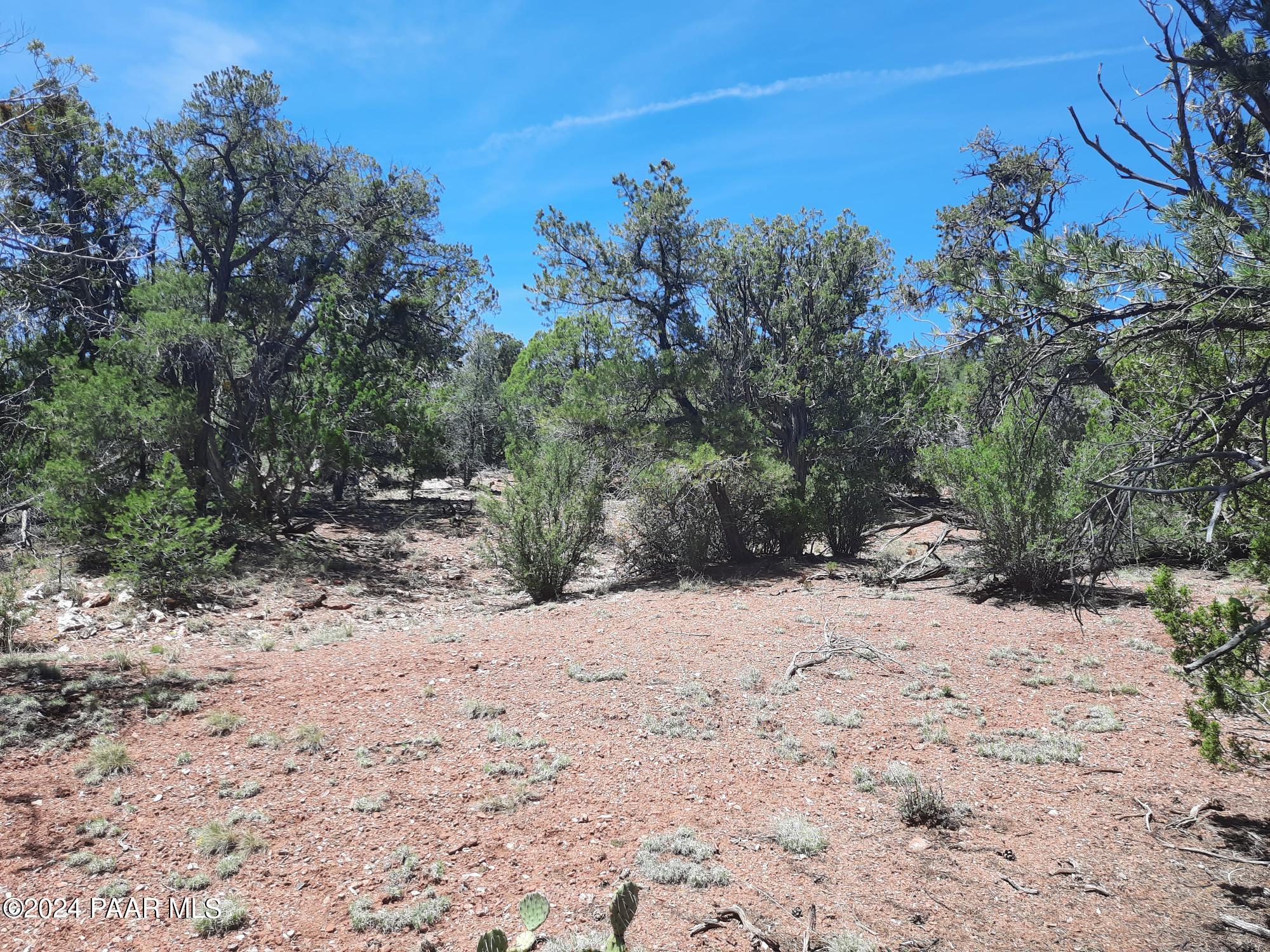 Lot 130 Forest Acres