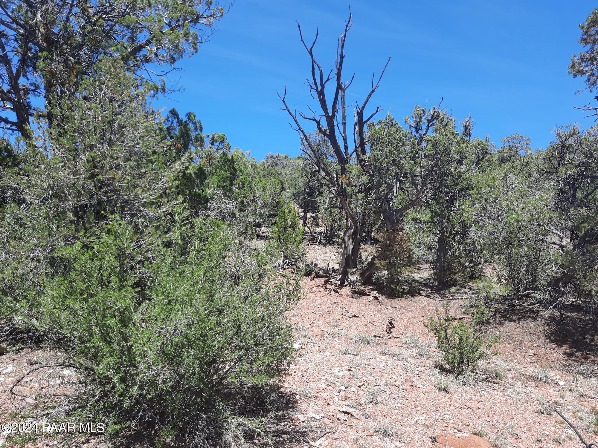 Lot 130 Forest Acres