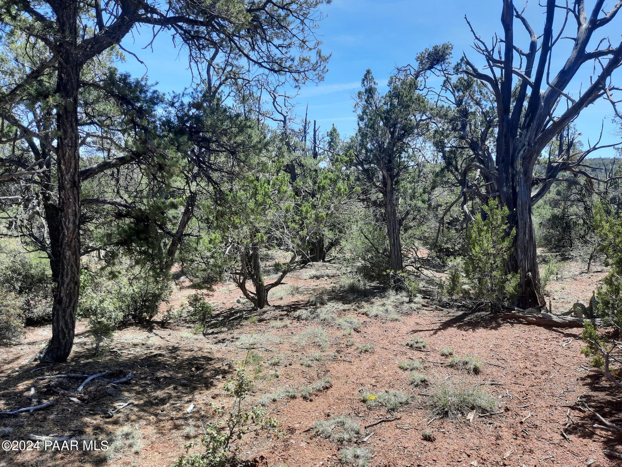 Lot 130 Forest Acres