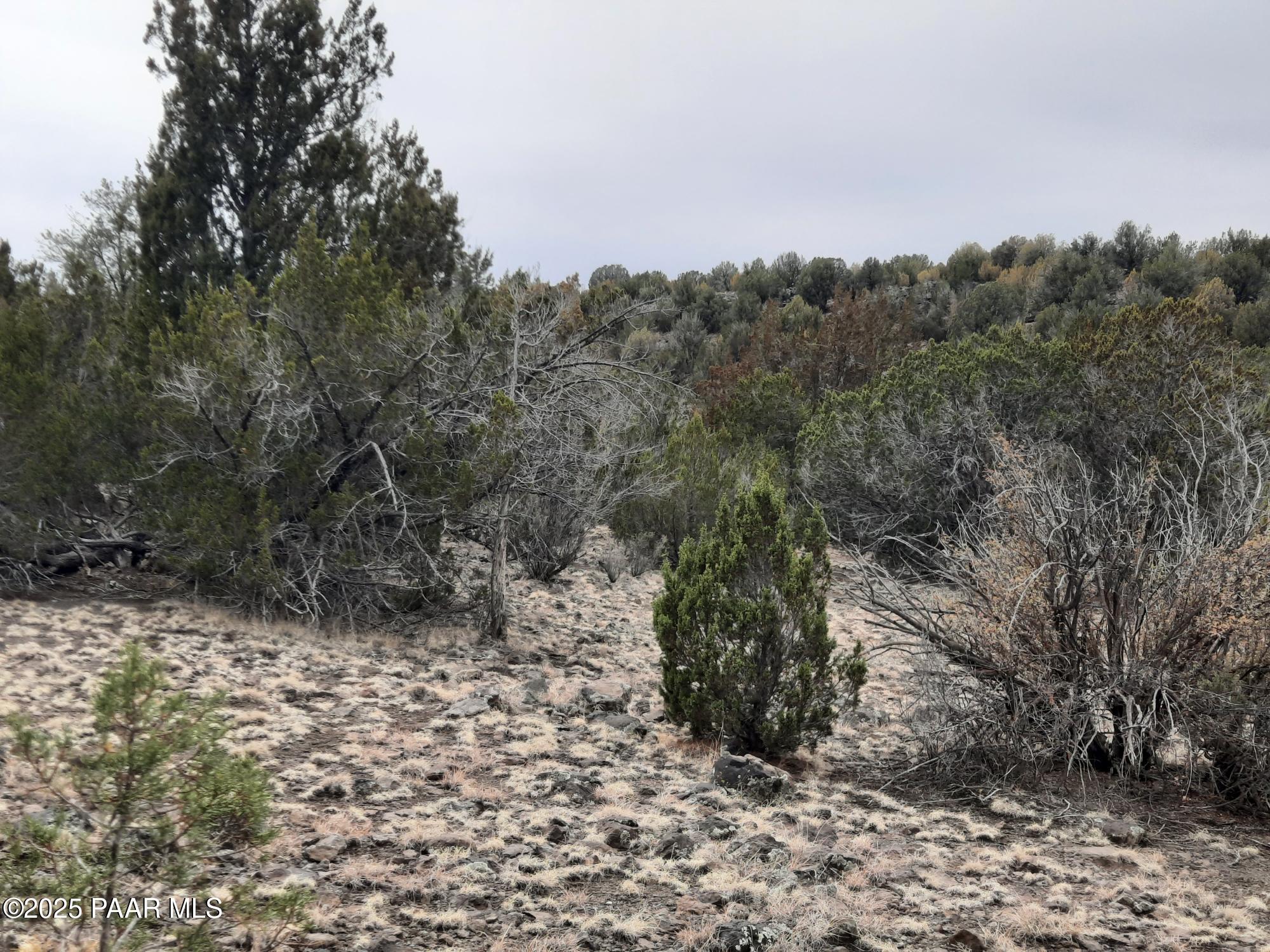 Lot 1359 Off Last Chance Rd