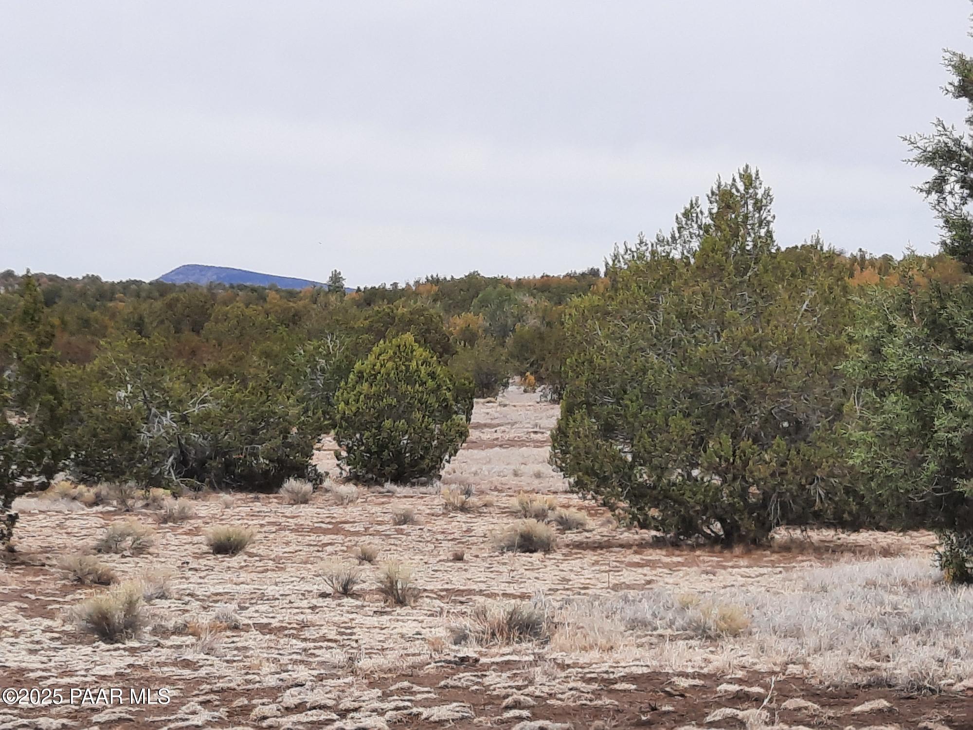 Lot 1359 Off Last Chance Rd