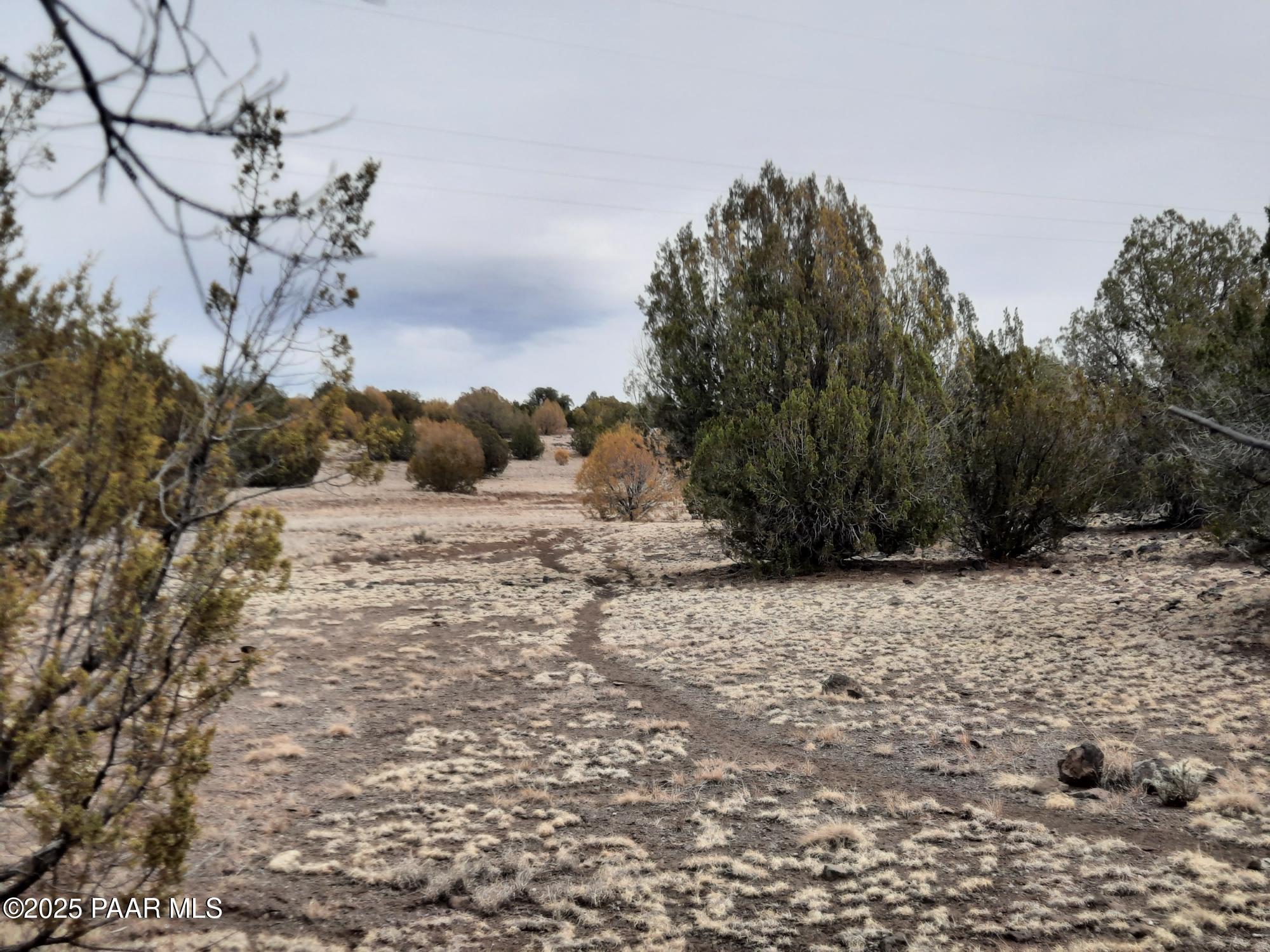 Lot 1359 Off Last Chance Rd