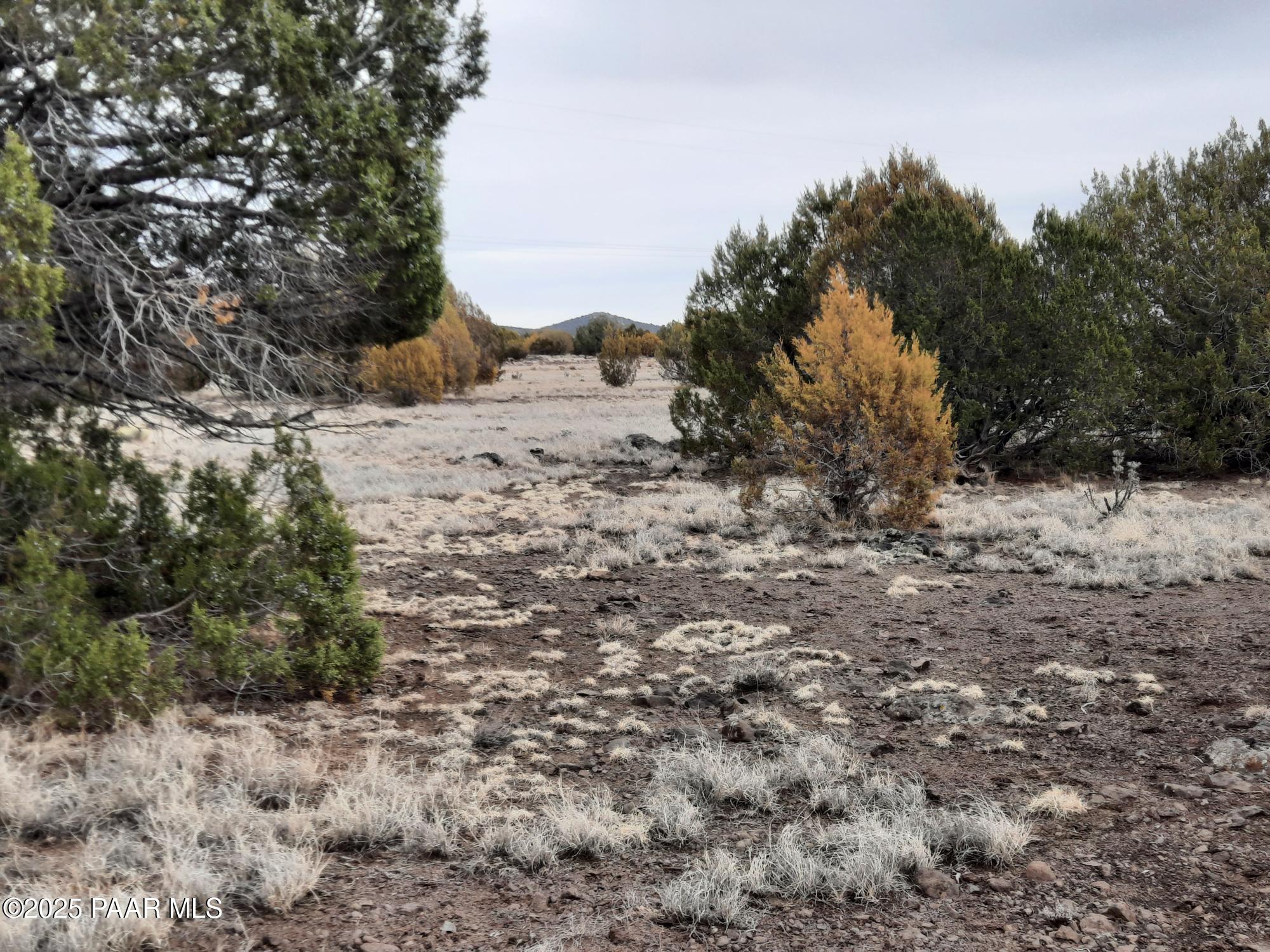 Lot 1359 Off Last Chance Rd
