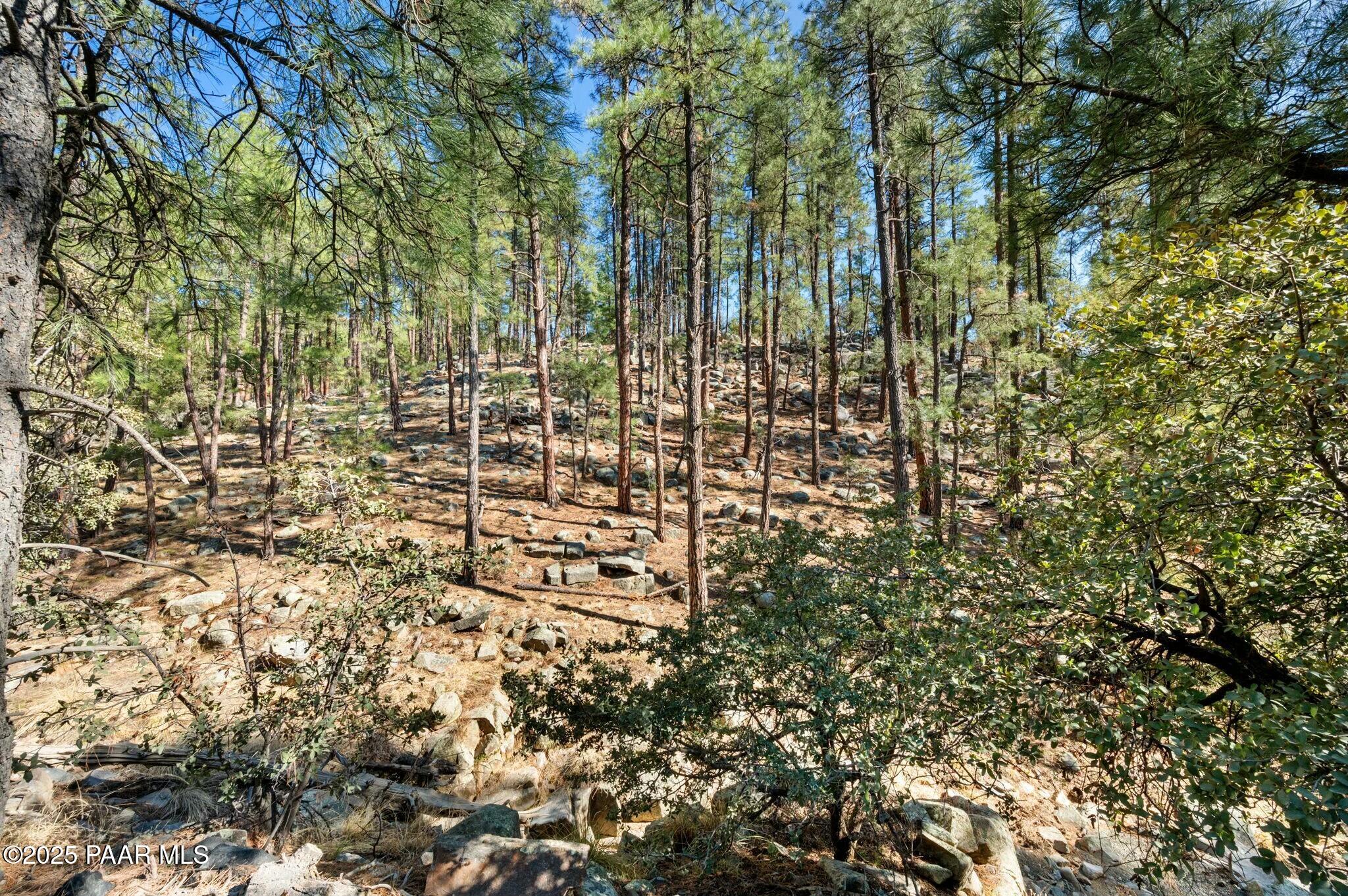 5455 E Big Bug Mesa Road