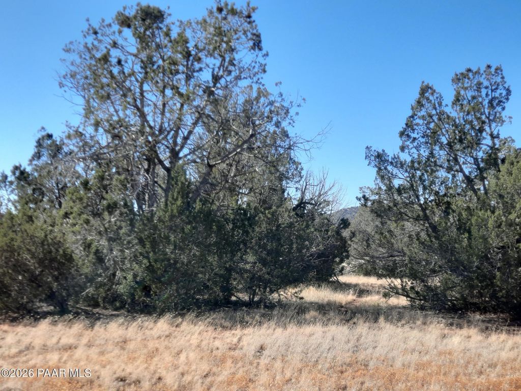 Photo of 54214 N Castano Road, Seligman, AZ 86337 (MLS # 1078759)