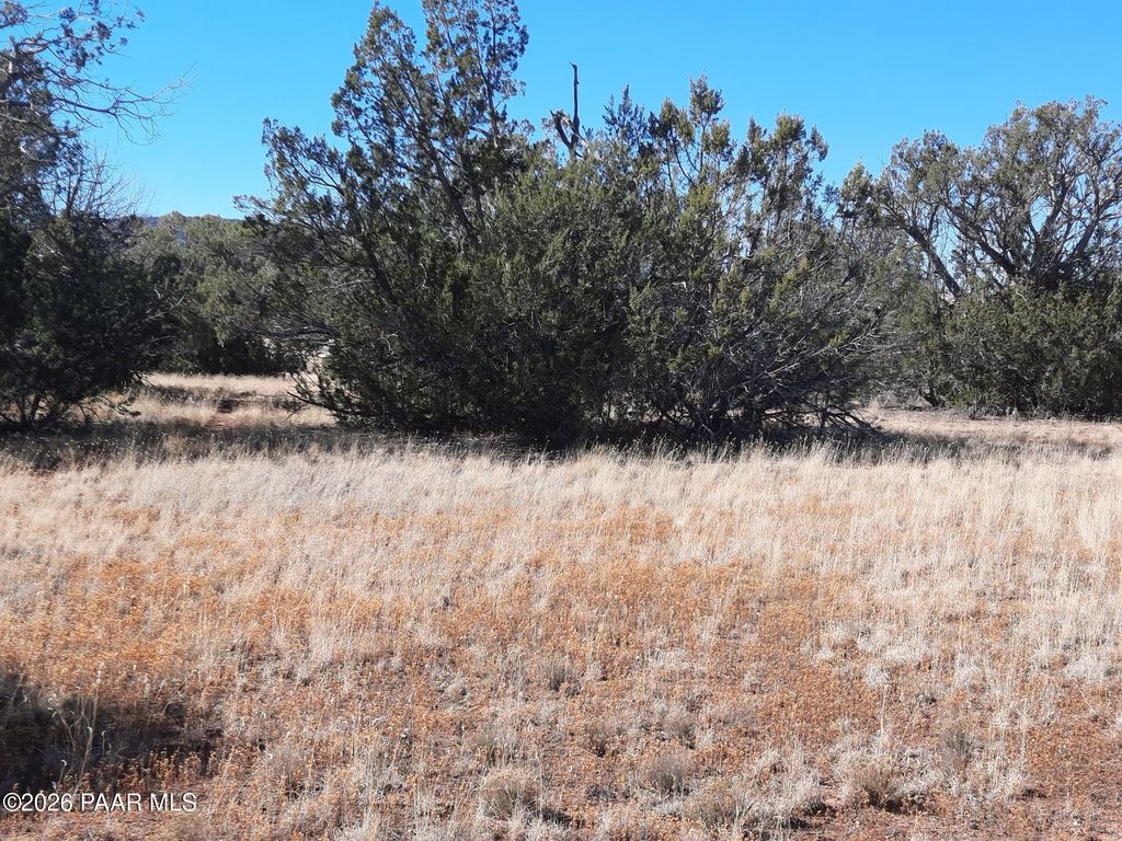 Photo of 54214 N Castano Road, Seligman, AZ 86337 (MLS # 1078759)