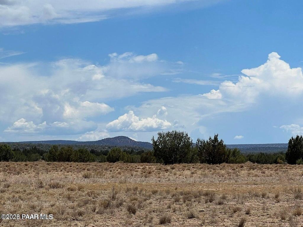 Photo of 10 Nw Chain Ranch Road, Ash Fork, AZ 86320 (MLS # 1078151)