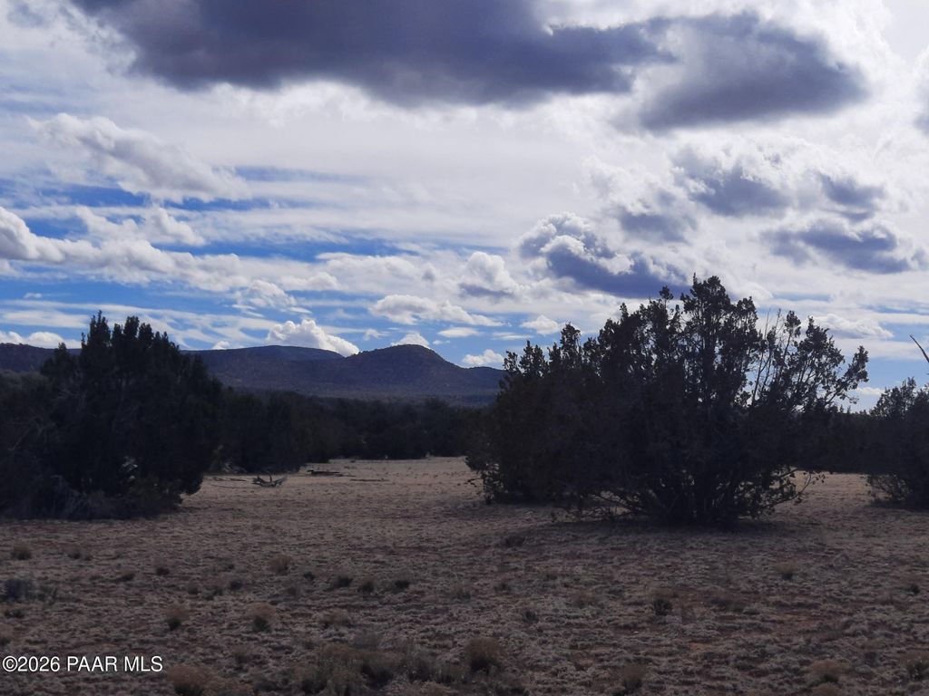 Photo of 243 Off Chosen Few Road, Seligman, AZ 86337 (MLS # 1079528)