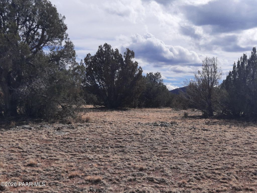Photo of 243 Off Chosen Few Road, Seligman, AZ 86337 (MLS # 1079528)
