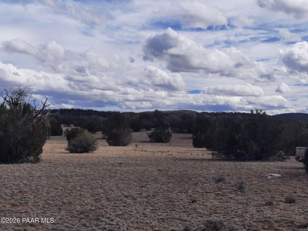 Photo of 243 Off Chosen Few Road, Seligman, AZ 86337 (MLS # 1079528)
