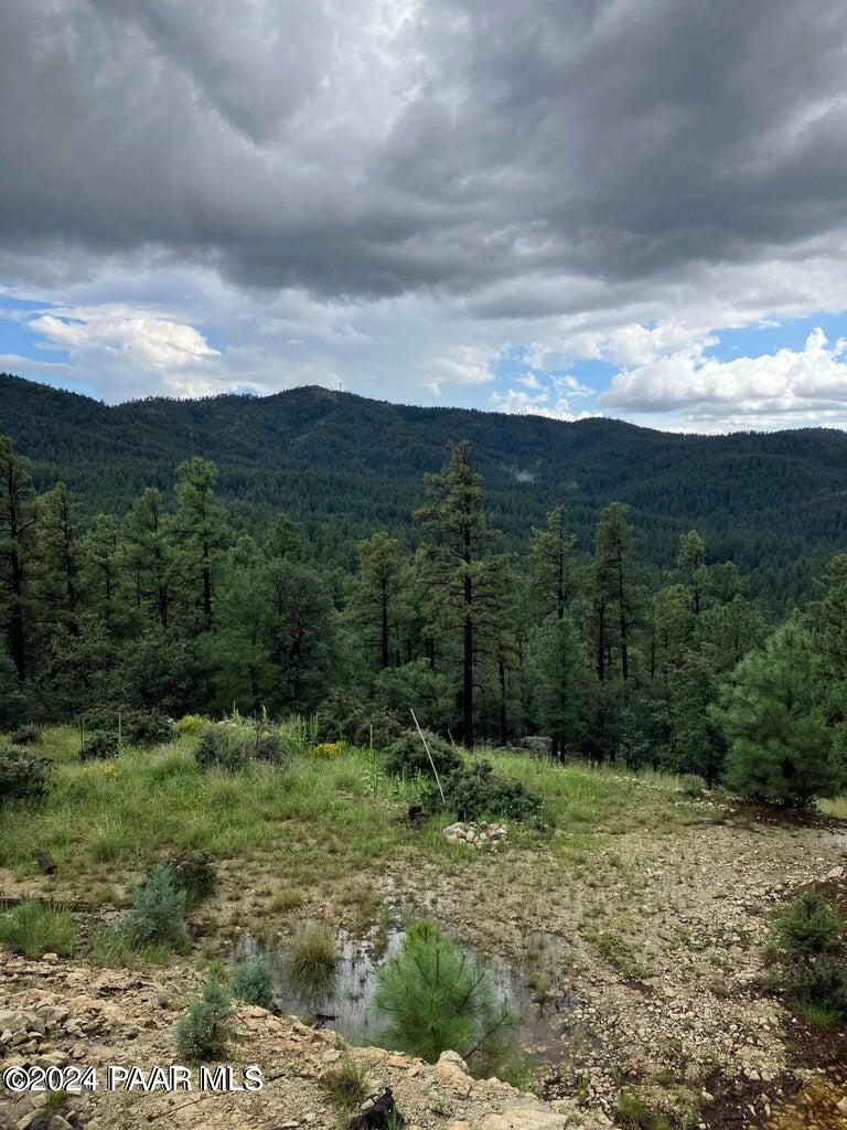 3165 E Crosscut Trail