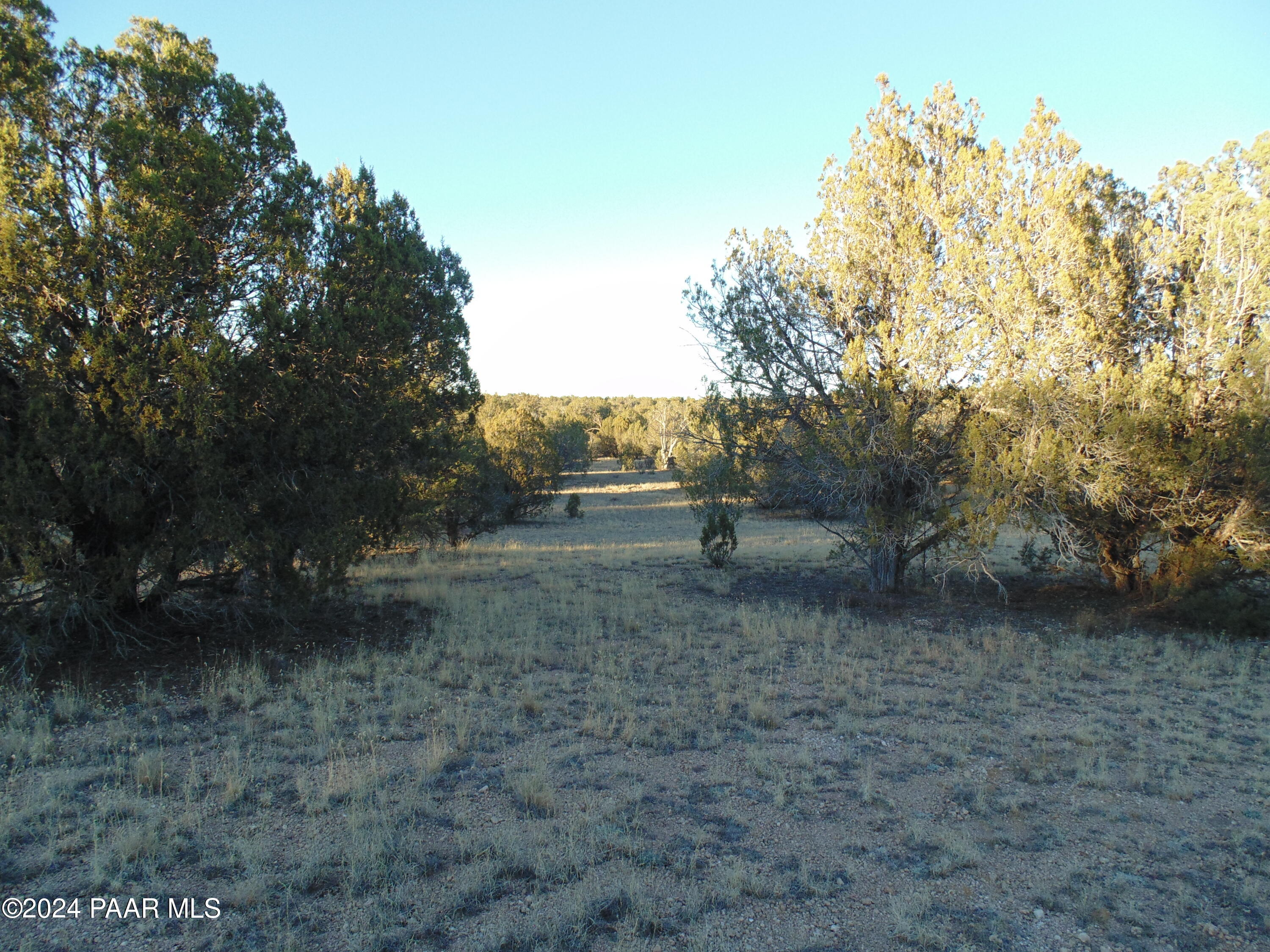 N/A N N. Lone Star Rd