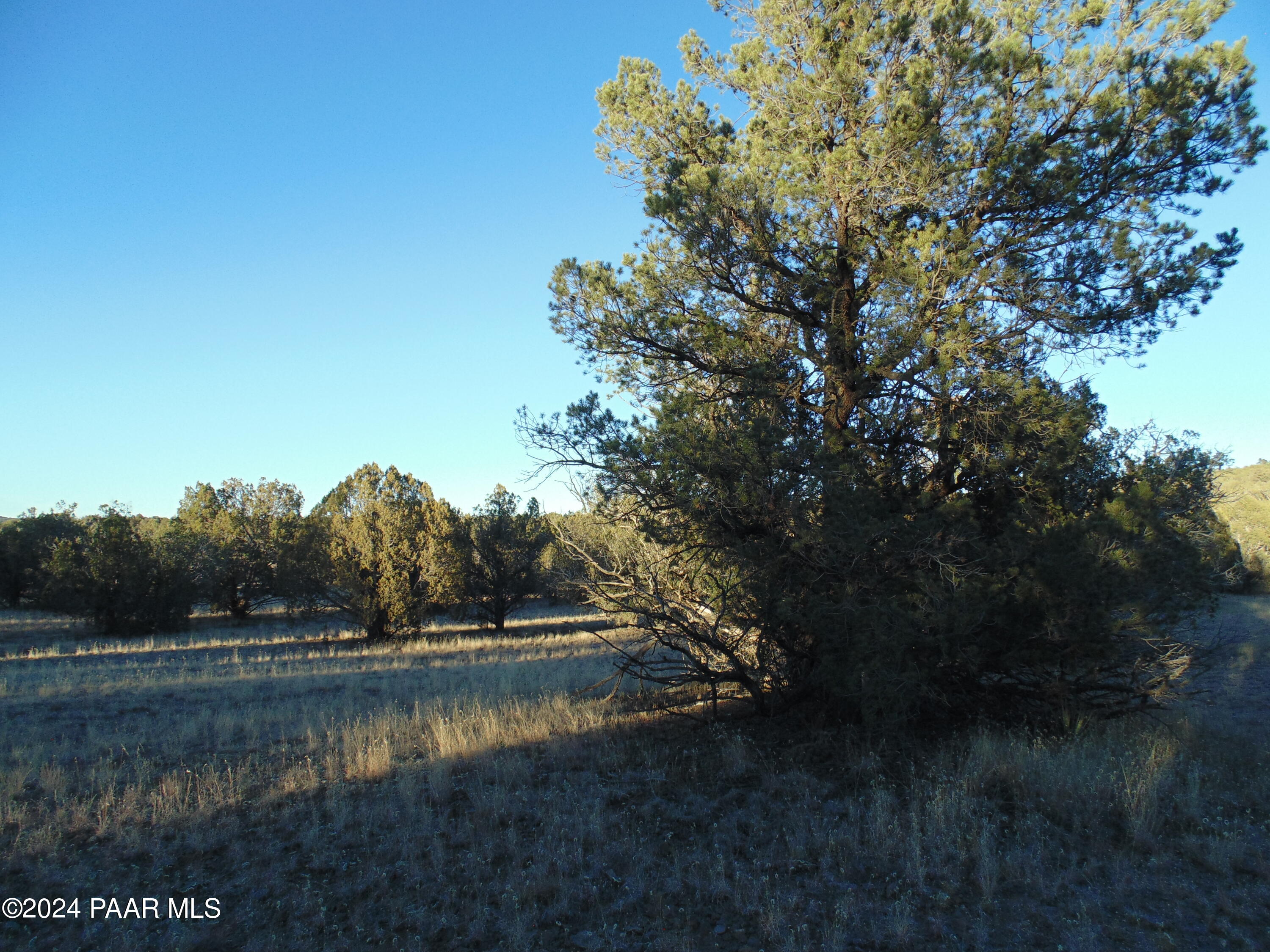 N/A N N. Lone Star Rd