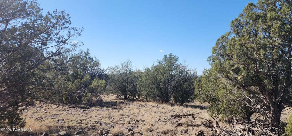 Photo of 3214 N Kerren Lp Loop, Ash Fork, AZ 86320 (MLS # 1076863)