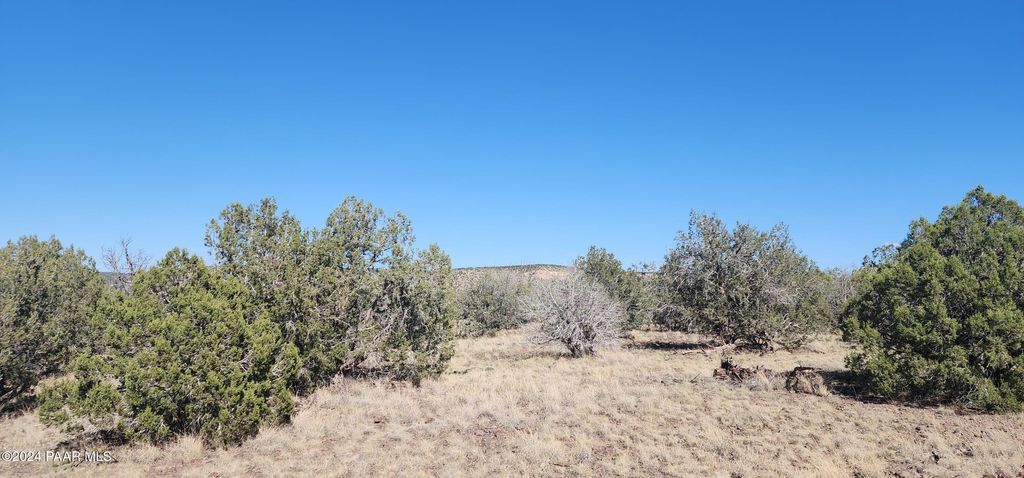 Photo of 3214 N Kerren Lp Loop, Ash Fork, AZ 86320 (MLS # 1076863)
