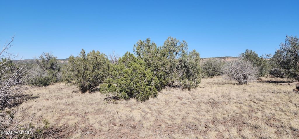 Photo of 3214 N Kerren Lp Loop, Ash Fork, AZ 86320 (MLS # 1076863)