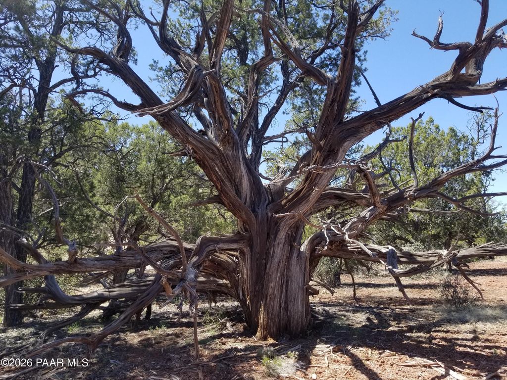 Photo of 446 Arizona Road, Ash Fork, AZ 86320 (MLS # 1081374)