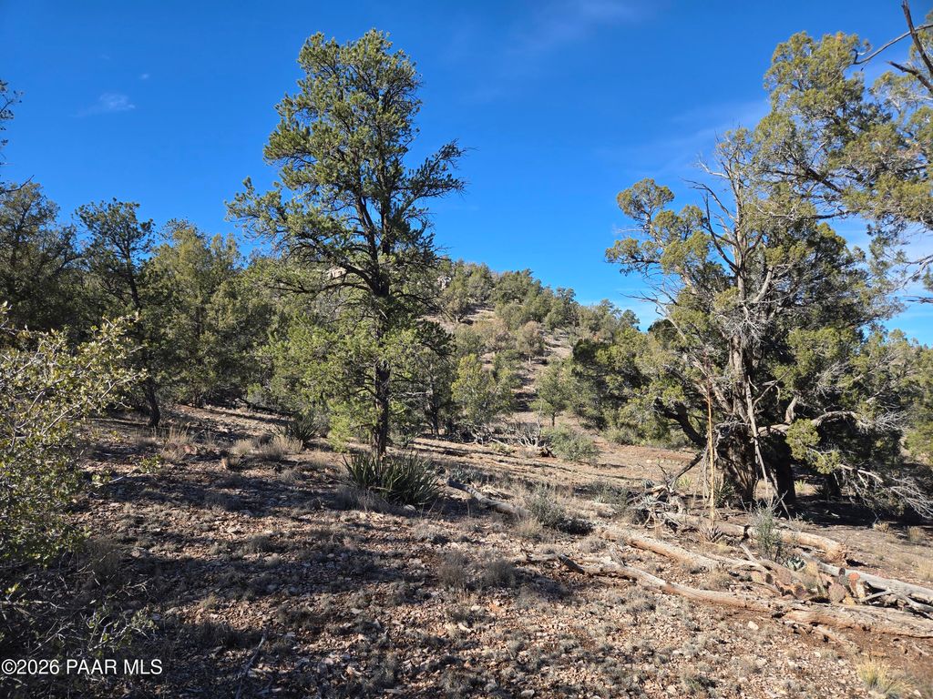Photo of 446 Arizona Road, Ash Fork, AZ 86320 (MLS # 1081374)