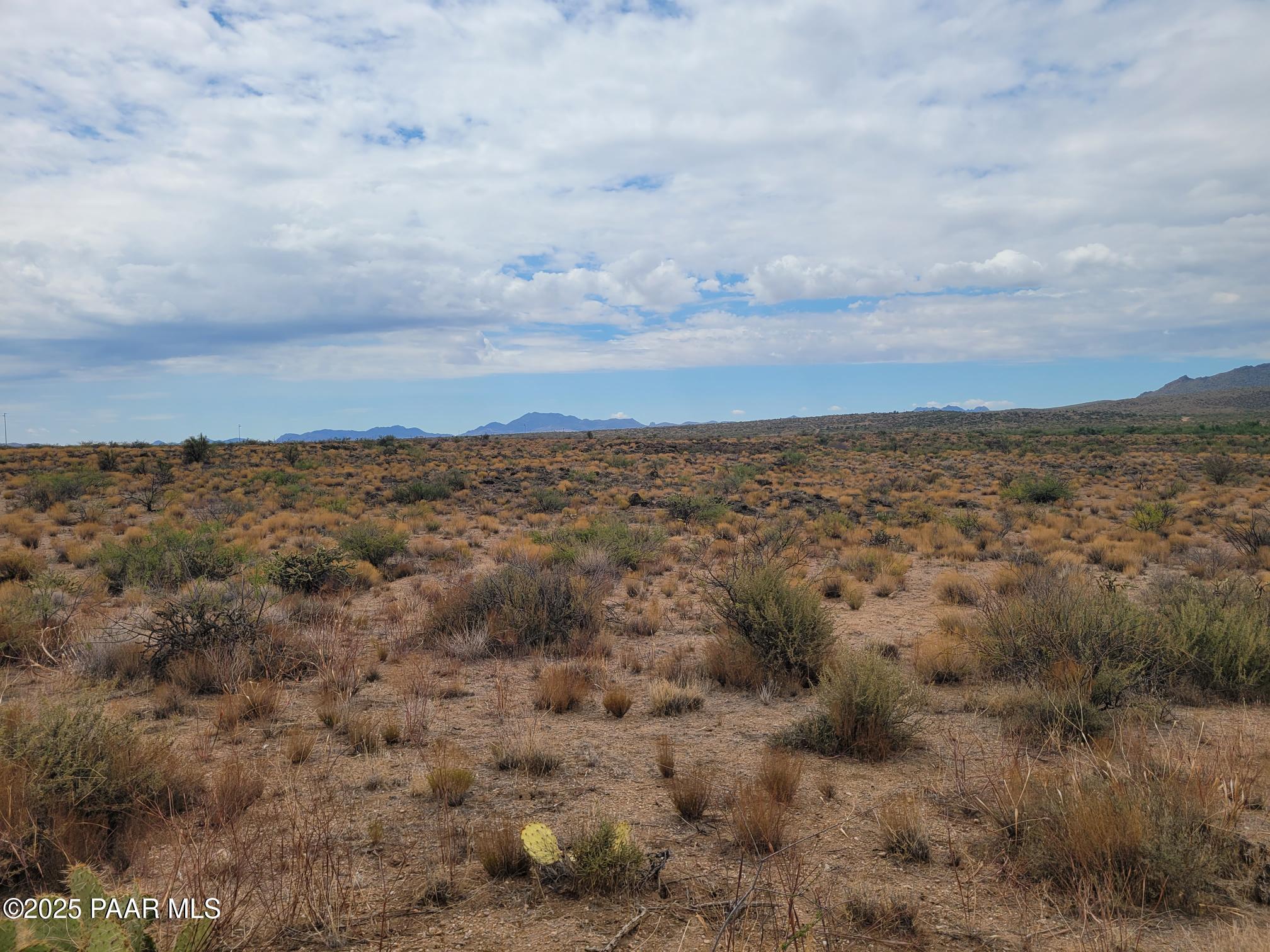 Lots 40&41 W Traveler Way