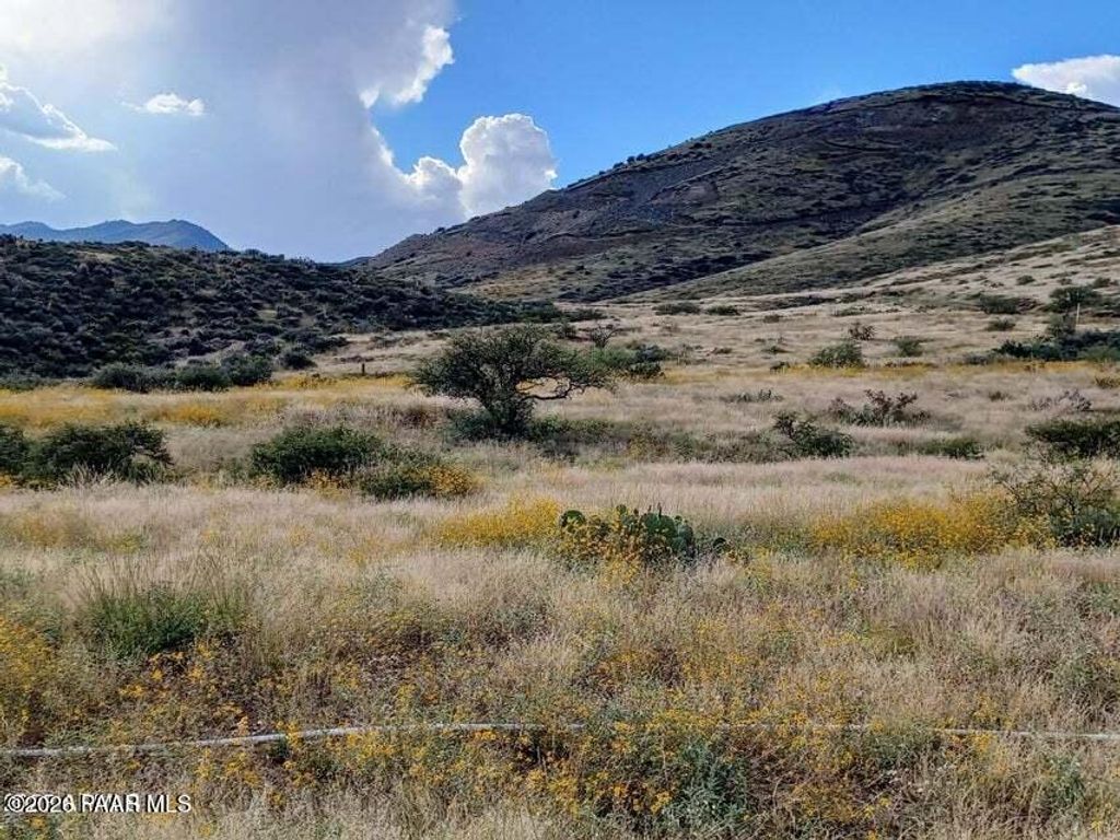 Photo of 10450 E Vaca Bonita Trl, Dewey-Humboldt, AZ 86329 (MLS # 1078798)