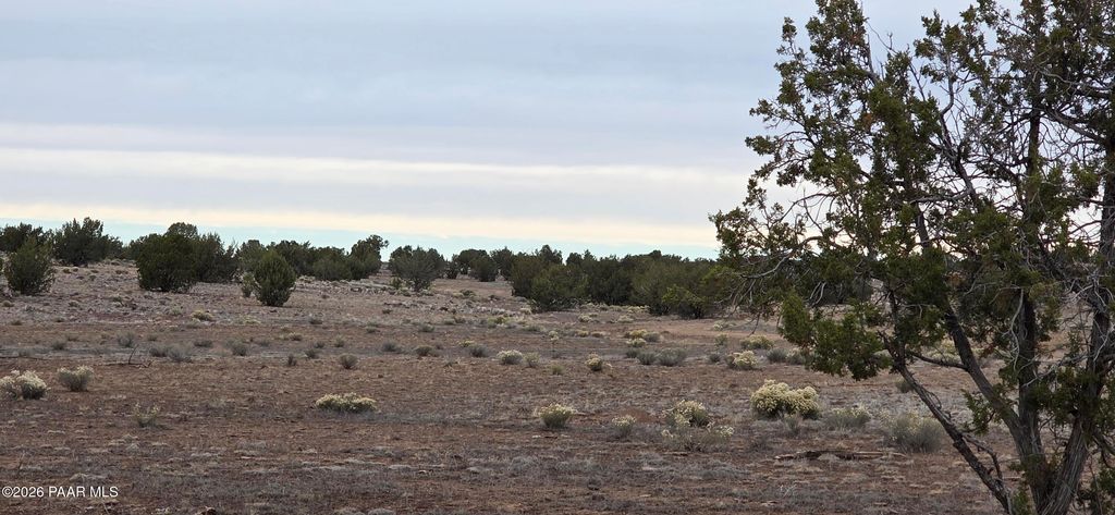 Photo of 214 Juniper Woods, Ash Fork, AZ 86320 (MLS # 1079522)