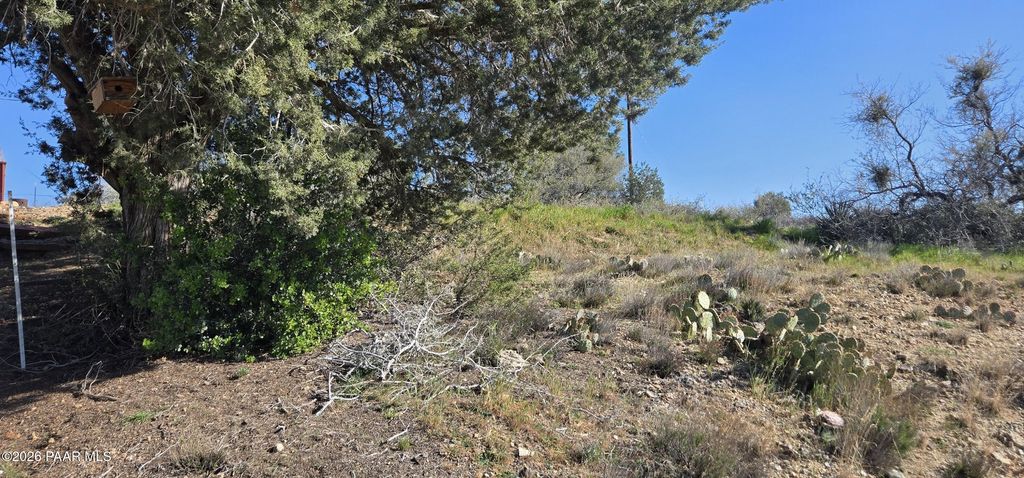 Photo of 20628 E Deer Valley Lane, Mayer, AZ 86333 (MLS # 1079318)