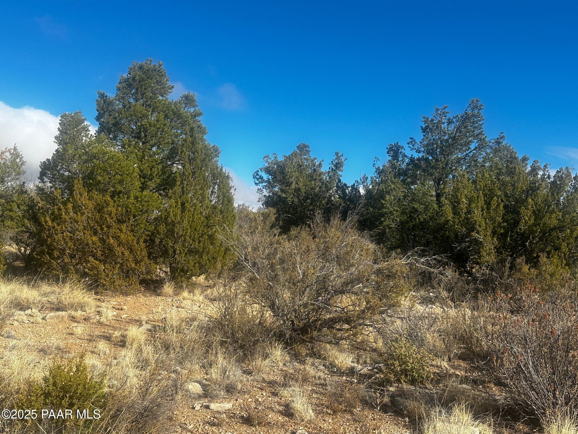 32292 W Ancho Road