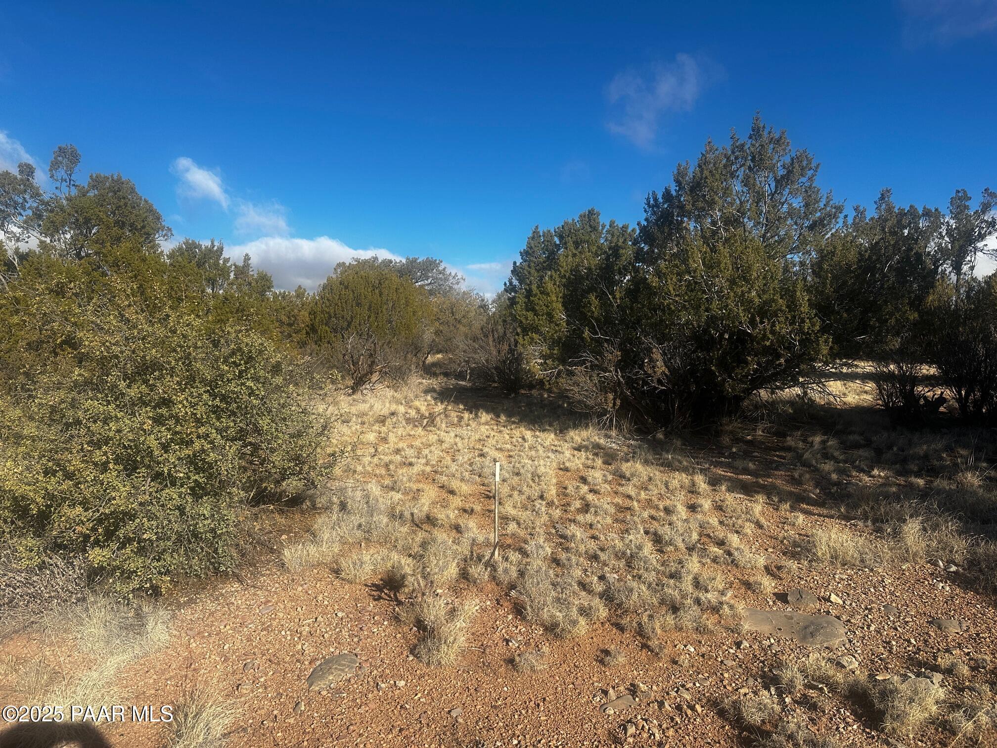 32292 W Ancho Road