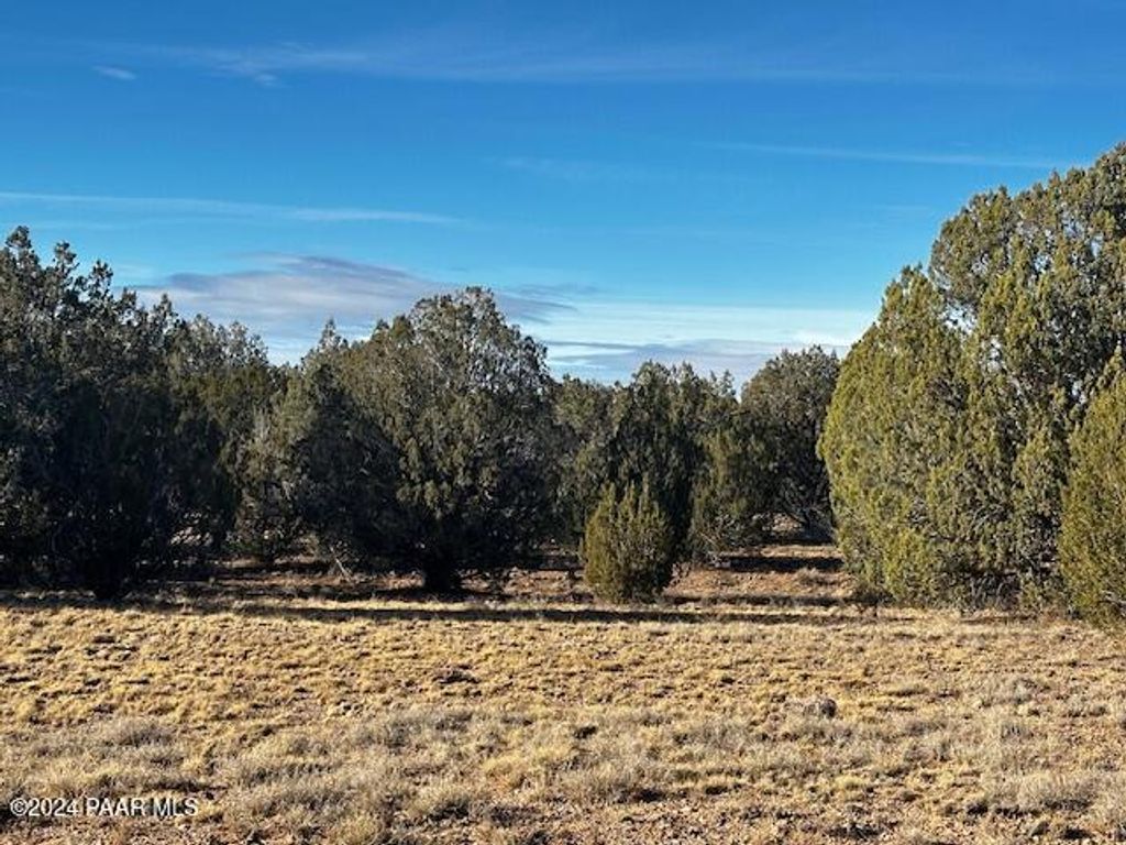 Photo of 37916 W Howling Coyote Road, Seligman, AZ 86337 (MLS # 1078900)