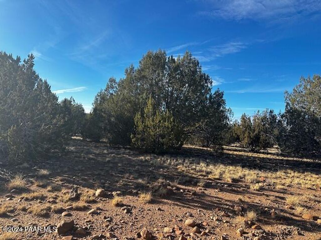 Photo of 37916 W Howling Coyote Road, Seligman, AZ 86337 (MLS # 1078900)