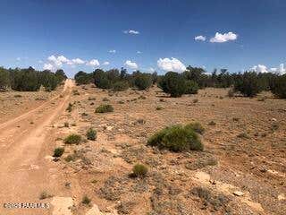 Photo of 31440 W Thorwood Drive, Seligman, AZ 86337 (MLS # 1083823)