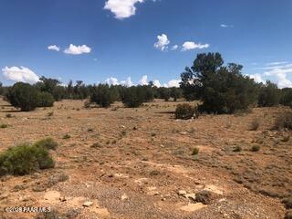 Photo of 31440 W Thorwood Drive, Seligman, AZ 86337 (MLS # 1083823)