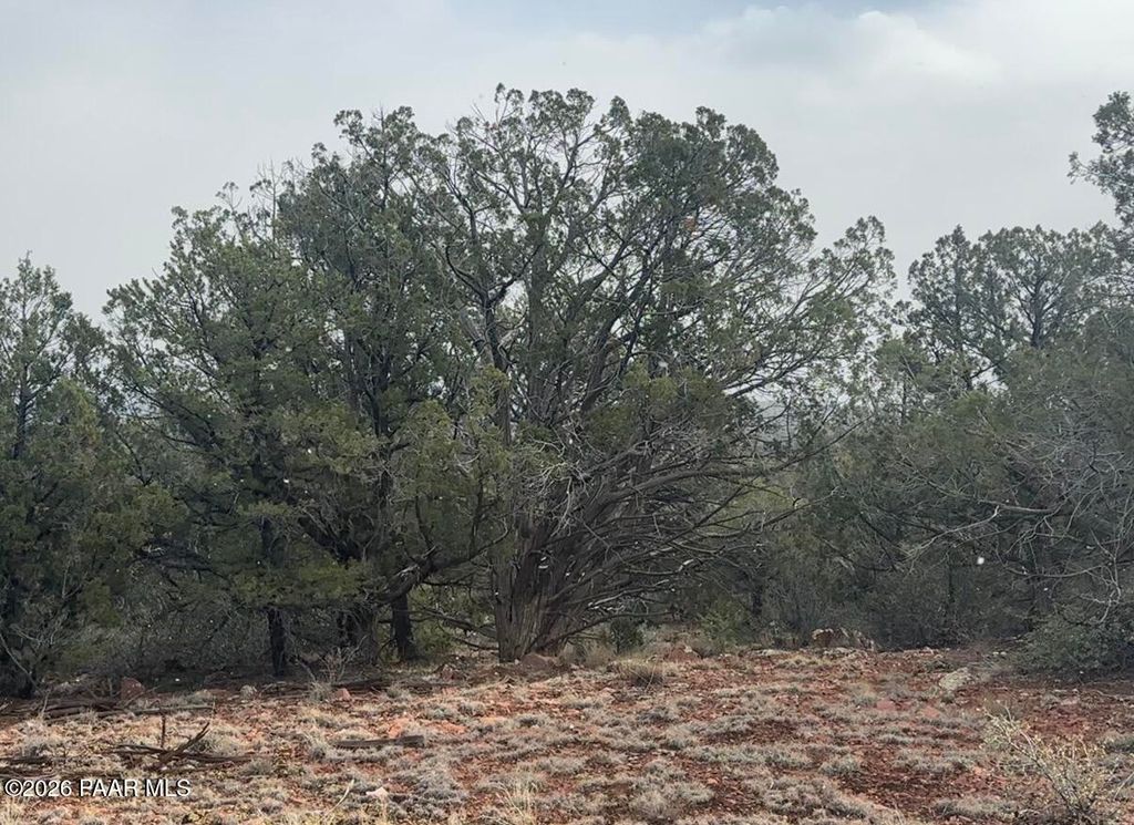 Photo of 66 Howling Wolf Road, Ash Fork, AZ 86320 (MLS # 1078642)